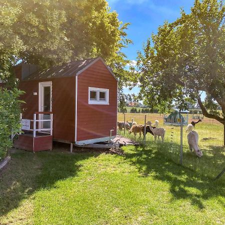 Tiny House Auf Der Alpaka Farm Villa Rubkow Exteriör bild