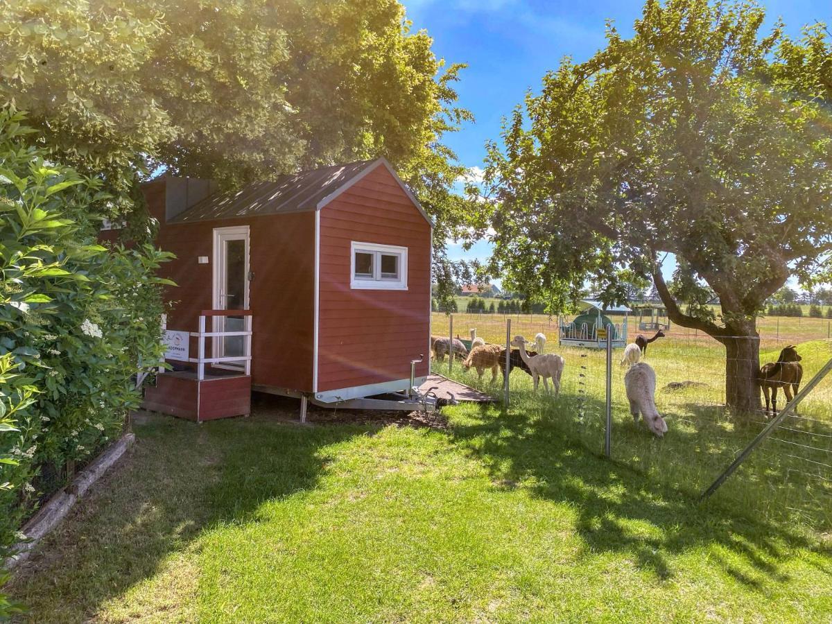 Tiny House Auf Der Alpaka Farm Villa Rubkow Exteriör bild